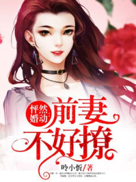 怦然婚動(dòng)：前妻不好撩