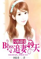 閃婚甜愛(ài)：BOSS追妻49天