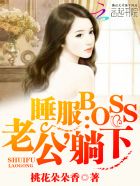 睡服BOSS：老公，躺下！