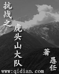 抗戰(zhàn)之虎頭山大隊