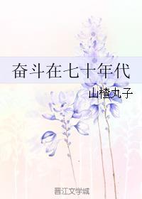 奮斗在七十年代