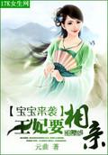 寶寶來(lái)襲：王妃要相親