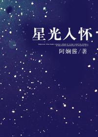 星光入懷