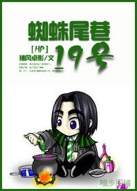 HP蜘蛛尾巷19號(hào)