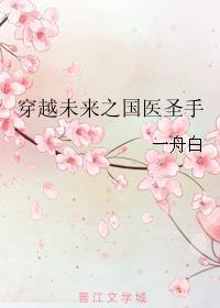 穿越未來之國醫(yī)圣手