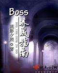 BOSS養(yǎng)成指南