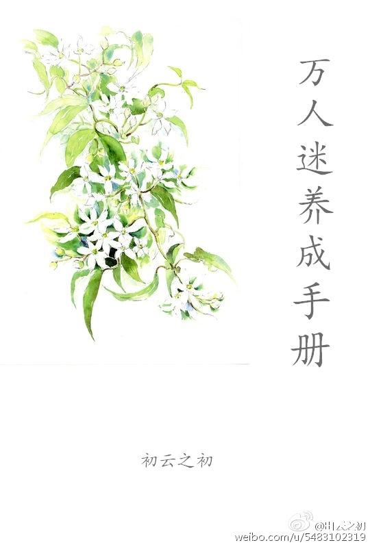 萬人迷養(yǎng)成手冊（系統(tǒng)）