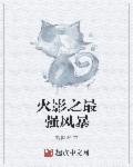 火影之最強風(fēng)暴