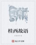 桂西故語(yǔ)