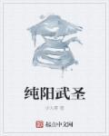 純陽(yáng)武圣