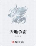 天地爭(zhēng)霸