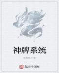 神牌系統(tǒng)