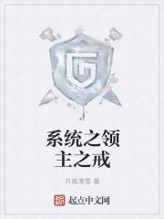 系統(tǒng)之領(lǐng)主之戒