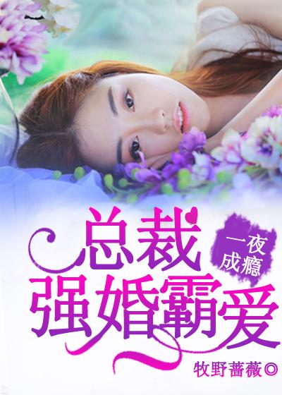 一夜成癮：總裁強(qiáng)婚霸愛(ài)