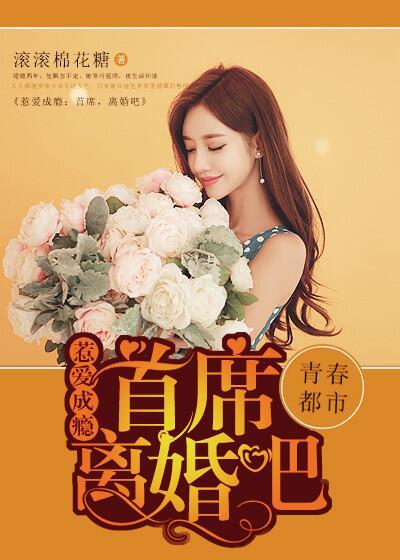 惹愛(ài)成癮：首席，離婚吧