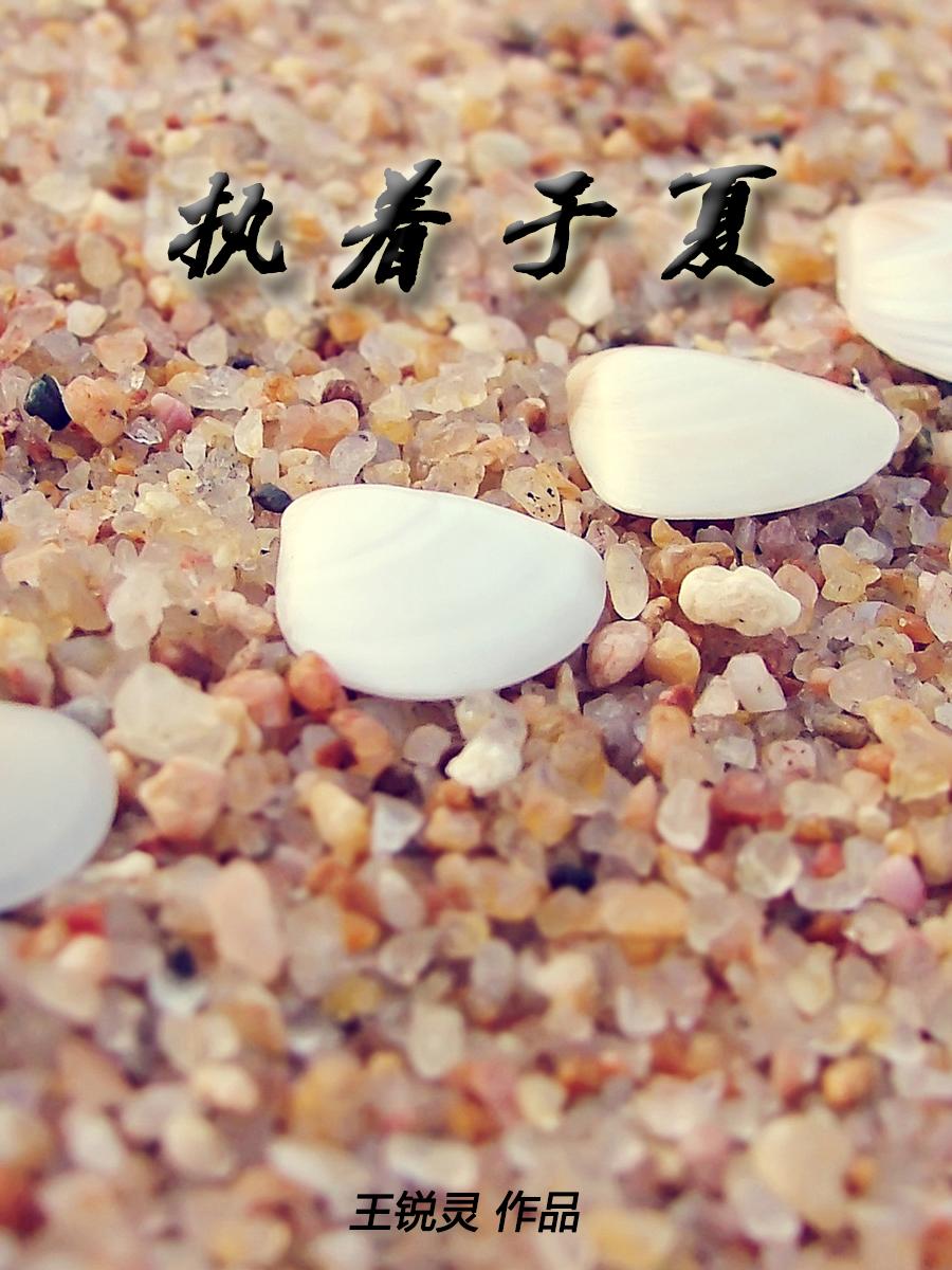 執(zhí)著于夏