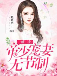 一婚二寶：帝少寵妻無節(jié)制